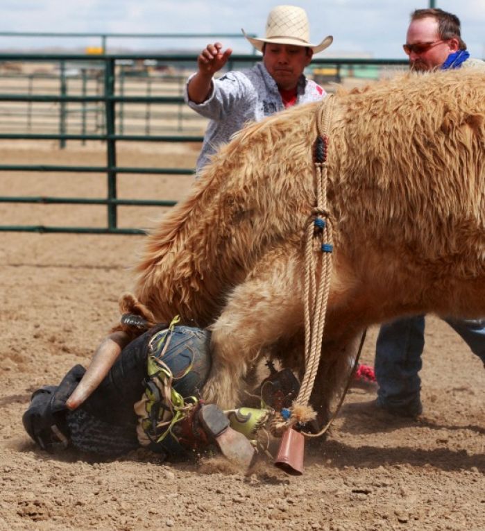Mini Bull Riding